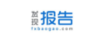 发现报告